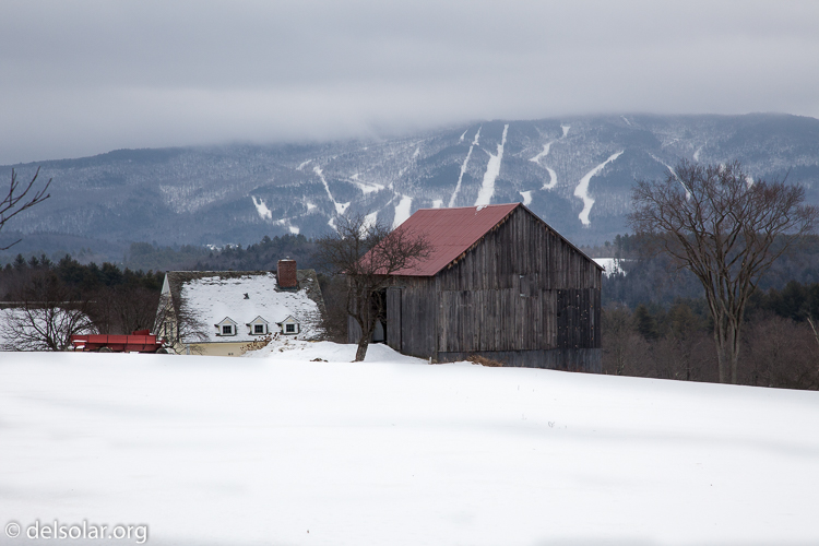 Canon EOS 5D Mark II  --  102 mm  --  EF24-105mm f/4L IS USM  