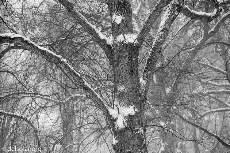 Canon EOS 5D Mark III  --  163 mm  --  EF70-200mm f/4L USM  