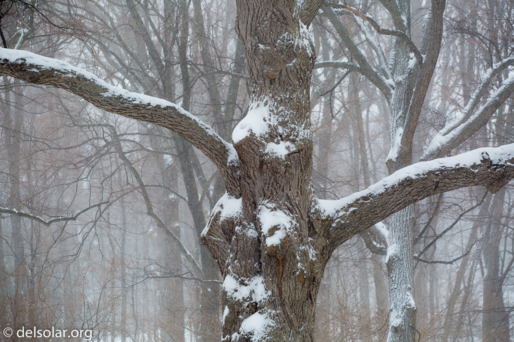 Canon EOS 5D Mark III  --  131 mm  --  EF70-200mm f/4L USM  