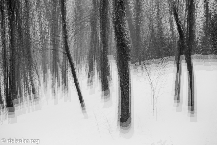 Canon EOS 5D Mark III  --  73 mm  --  EF70-200mm f/4L USM  