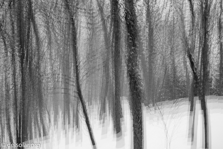 Canon EOS 5D Mark III  --  73 mm  --  EF70-200mm f/4L USM  