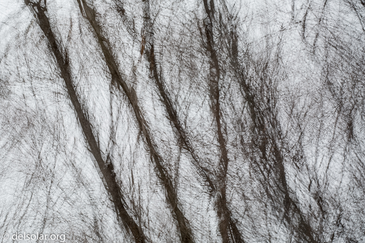 Canon EOS 5D Mark III  --  122 mm  --  EF70-200mm f/4L USM  