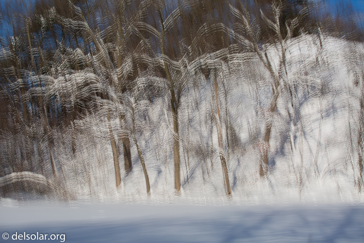 Canon EOS 5D Mark III  --  70 mm  --  EF70-200mm f/4L USM  