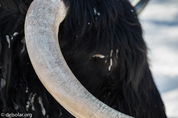 Canon EOS 5D Mark III  --  131 mm  --  EF70-200mm f/4L USM  