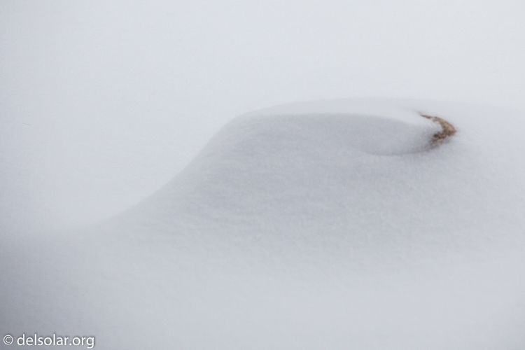 Canon EOS 5D Mark II  --  135 mm  --  EF70-200mm f/4L USM  