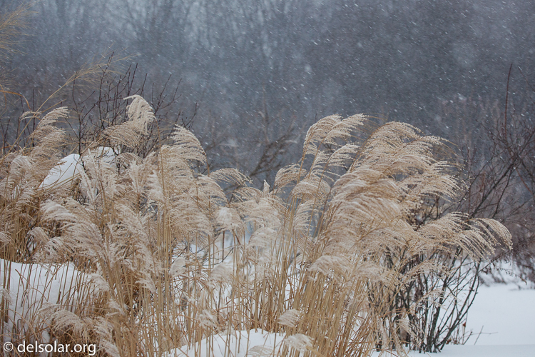 Canon EOS 5D Mark II  --  70 mm  --  EF70-200mm f/4L USM  