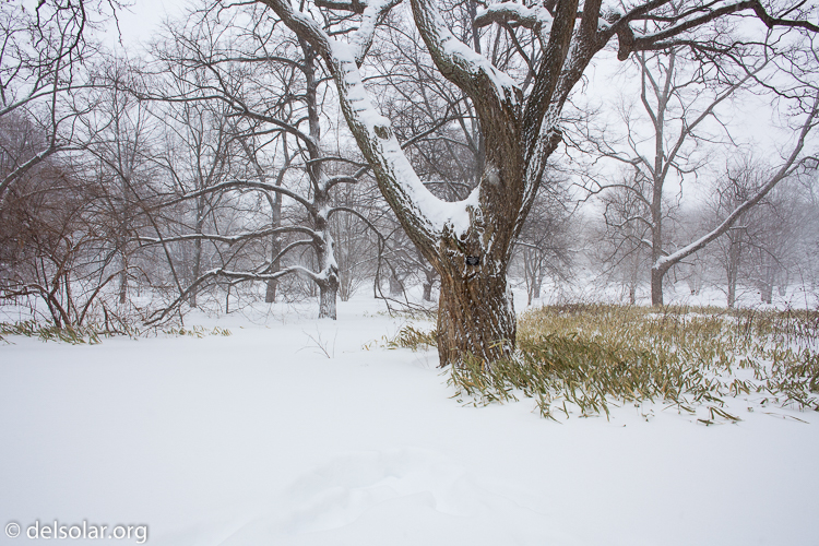 Canon EOS 5D Mark II  --  24 mm  --  EF24mm f/2.8  