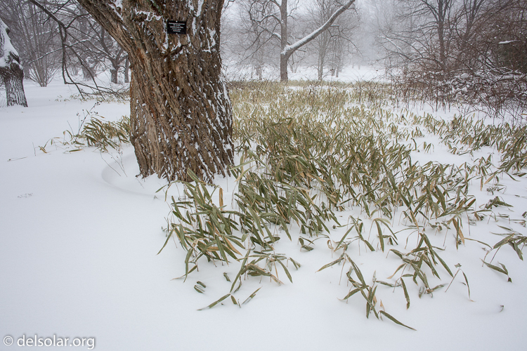 Canon EOS 5D Mark II  --  24 mm  --  EF24mm f/2.8  