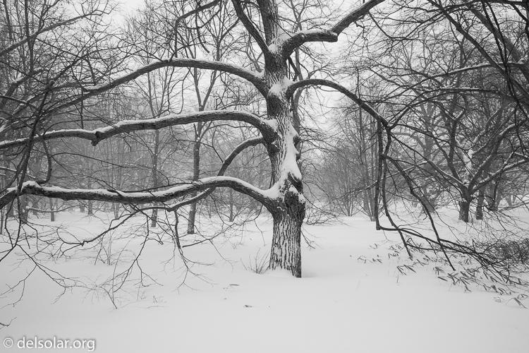 Canon EOS 5D Mark II  --  24 mm  --  EF24mm f/2.8  