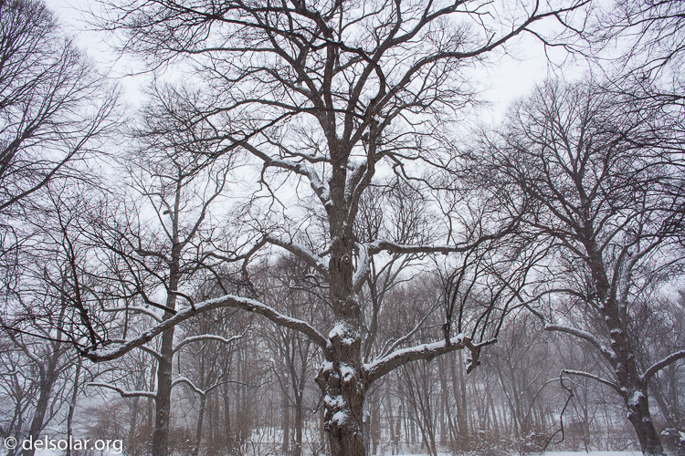 Canon EOS 5D Mark II  --  24 mm  --  EF24mm f/2.8  