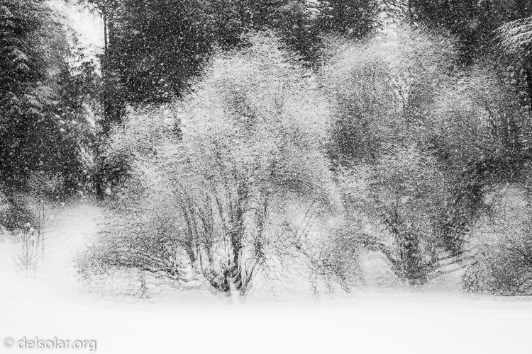 Canon EOS 5D Mark III  --  67 mm  --  EF24-105mm f/4L IS USM  