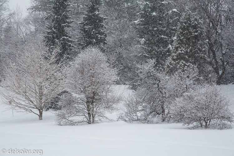 Canon EOS 5D Mark III  --  82 mm  --  EF24-105mm f/4L IS USM  