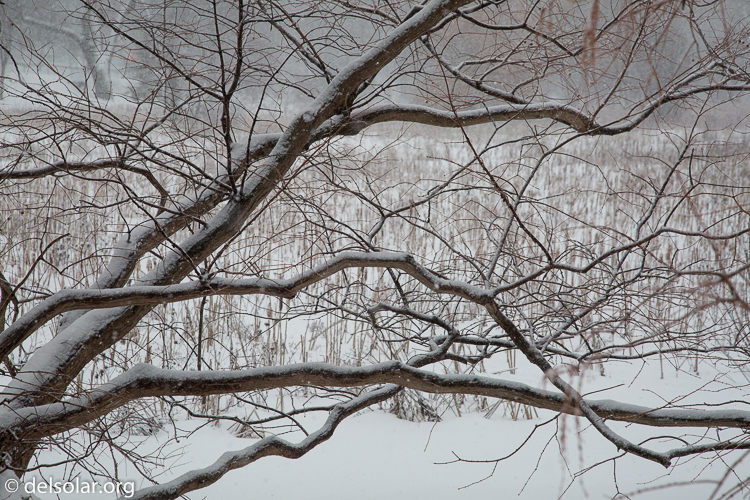 Canon EOS 5D Mark III  --  105 mm  --  EF24-105mm f/4L IS USM  