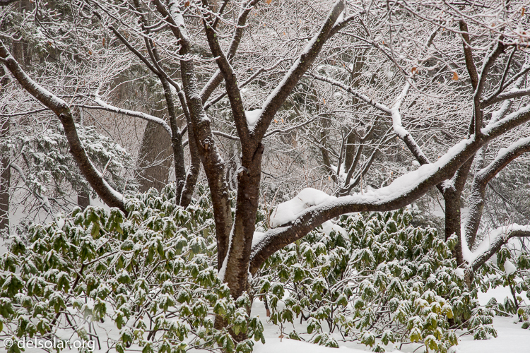 Canon EOS 5D Mark III  --  105 mm  --  EF24-105mm f/4L IS USM  