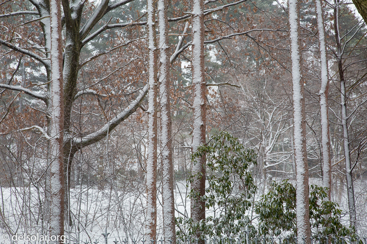 Canon EOS 5D Mark III  --  85 mm  --  EF24-105mm f/4L IS USM  