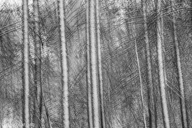 Canon EOS 5D Mark III  --  105 mm  --  EF24-105mm f/4L IS USM  