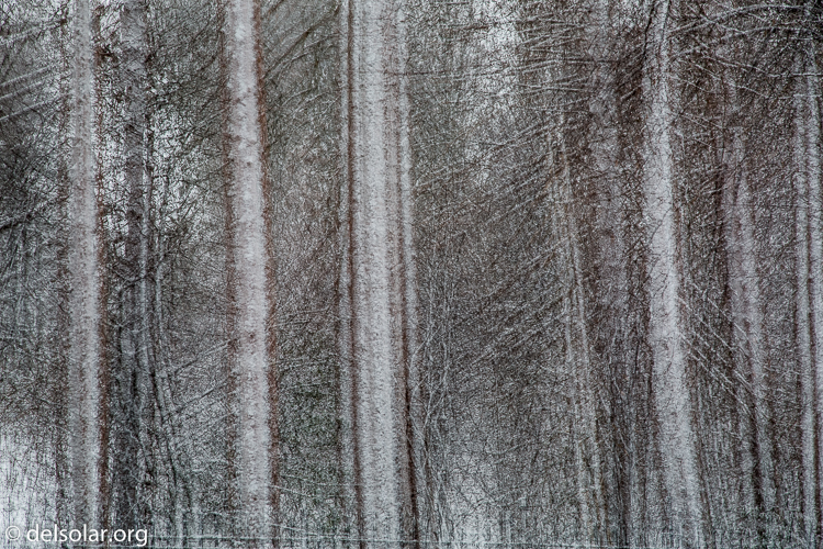 Canon EOS 5D Mark III  --  105 mm  --  EF24-105mm f/4L IS USM  