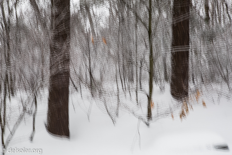 Canon EOS 5D Mark III  --  73 mm  --  EF24-105mm f/4L IS USM  