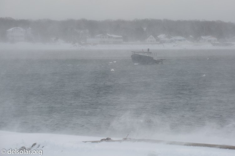 Canon EOS 5D Mark III  --  113 mm  --  EF70-200mm f/4L USM  