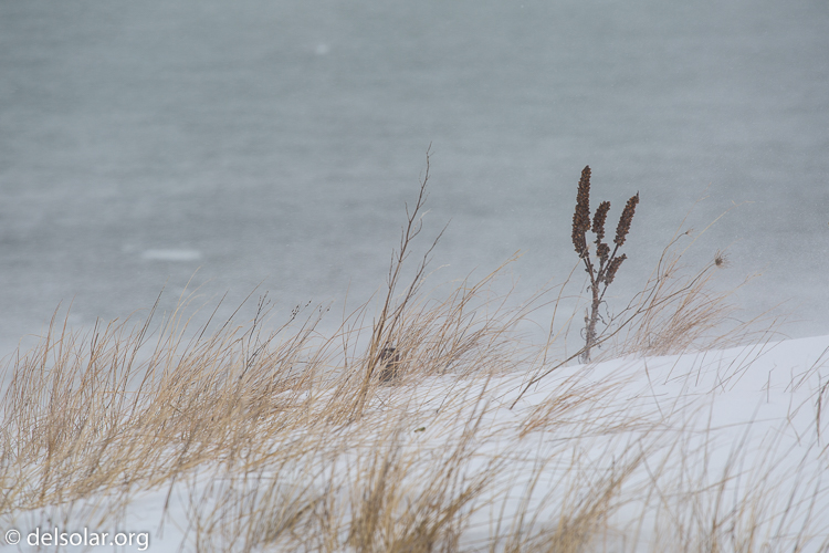 Canon EOS 5D Mark III  --  200 mm  --  EF70-200mm f/4L USM  