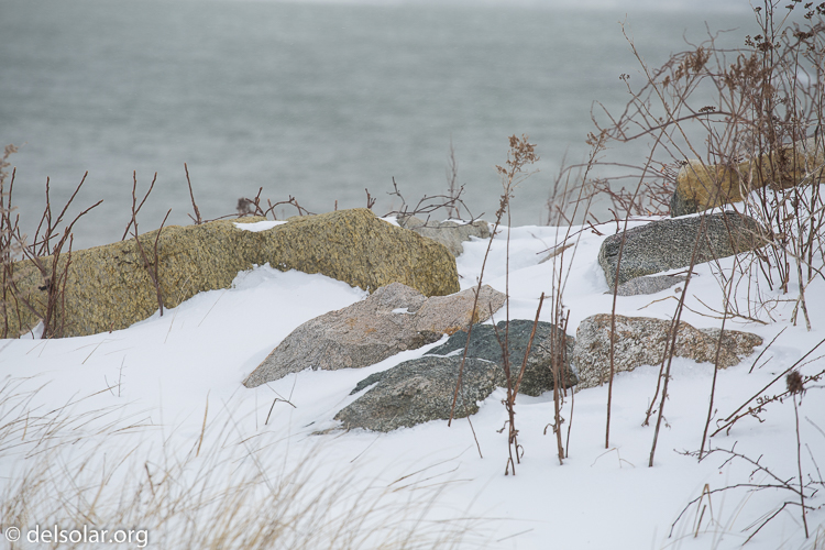 Canon EOS 5D Mark III  --  188 mm  --  EF70-200mm f/4L USM  