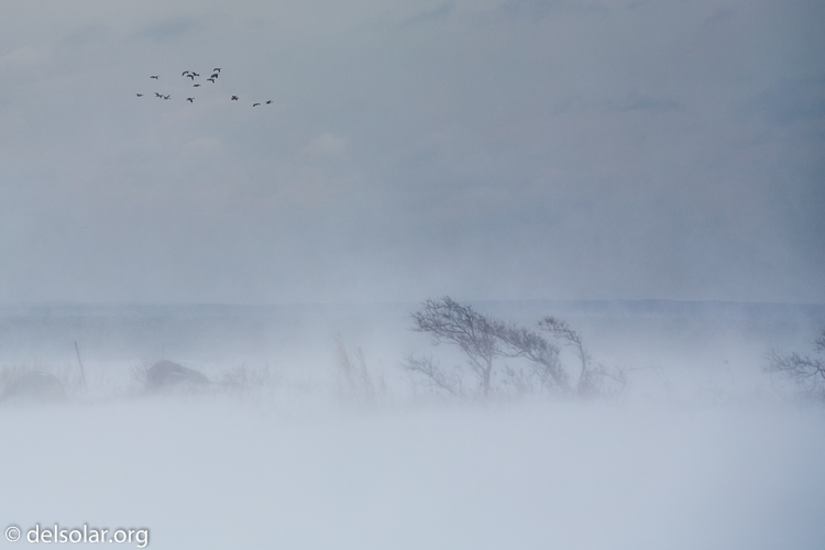 Canon EOS 5D Mark III  --  140 mm  --  EF70-200mm f/4L USM  