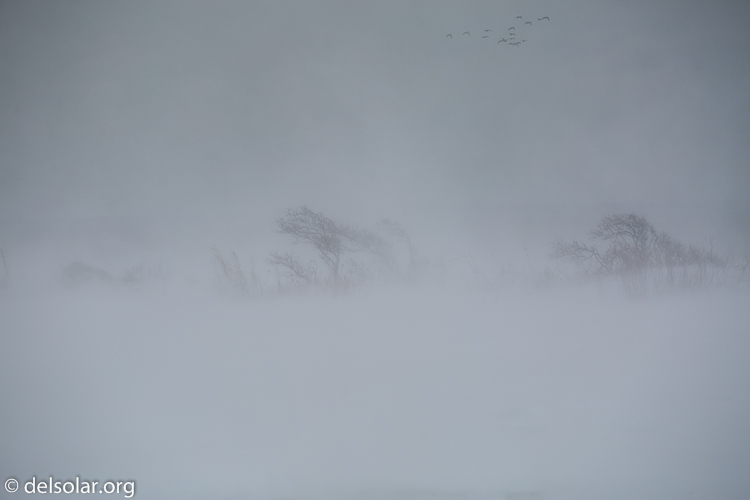 Canon EOS 5D Mark III  --  188 mm  --  EF70-200mm f/4L USM  