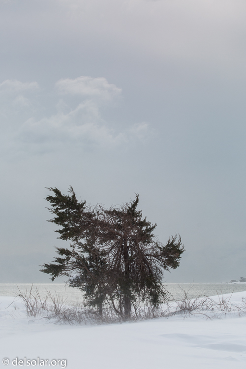 Canon EOS 5D Mark III  --  70 mm  --  EF70-200mm f/4L USM  