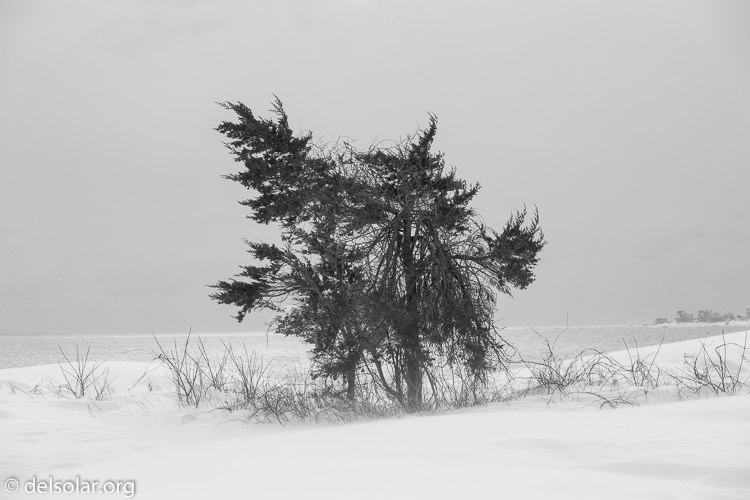 Canon EOS 5D Mark III  --  94 mm  --  EF70-200mm f/4L USM  