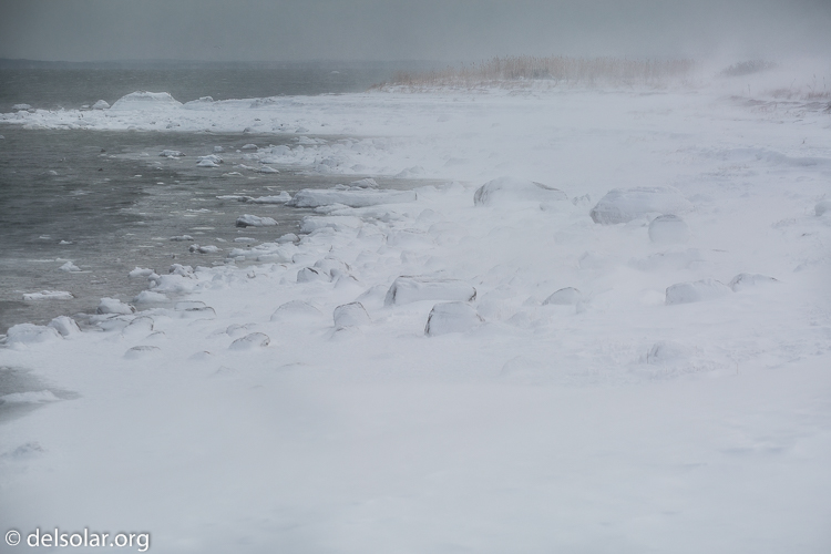 Canon EOS 5D Mark III  --  126 mm  --  EF70-200mm f/4L USM  