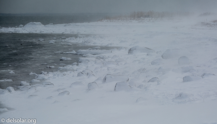 Canon EOS 5D Mark III  --  126 mm  --  EF70-200mm f/4L USM  