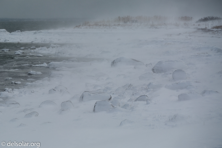 Canon EOS 5D Mark III  --  145 mm  --  EF70-200mm f/4L USM  