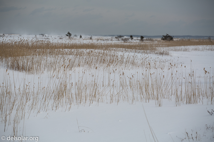 Canon EOS 5D Mark III  --  126 mm  --  EF70-200mm f/4L USM  