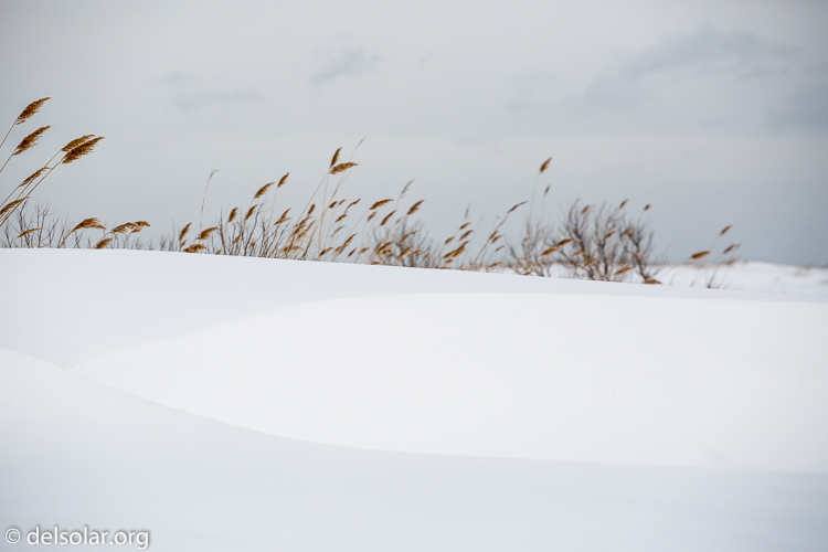 Canon EOS 5D Mark III  --  131 mm  --  EF70-200mm f/4L USM  