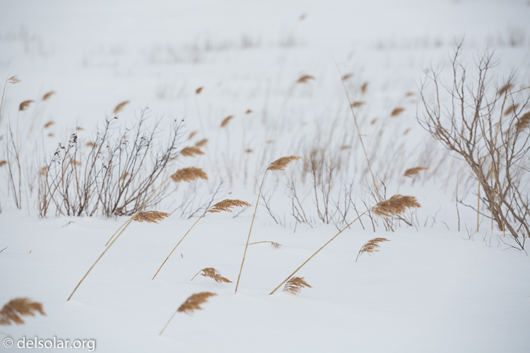 Canon EOS 5D Mark III  --  126 mm  --  EF70-200mm f/4L USM  