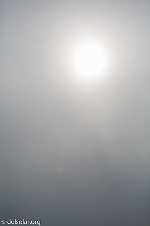 Canon EOS 5D Mark III  --  70 mm  --  EF70-200mm f/4L USM  