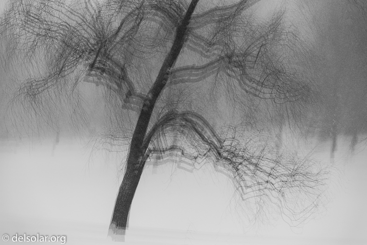 Canon EOS 5D Mark III  --  100 mm  --  EF70-200mm f/4L USM  