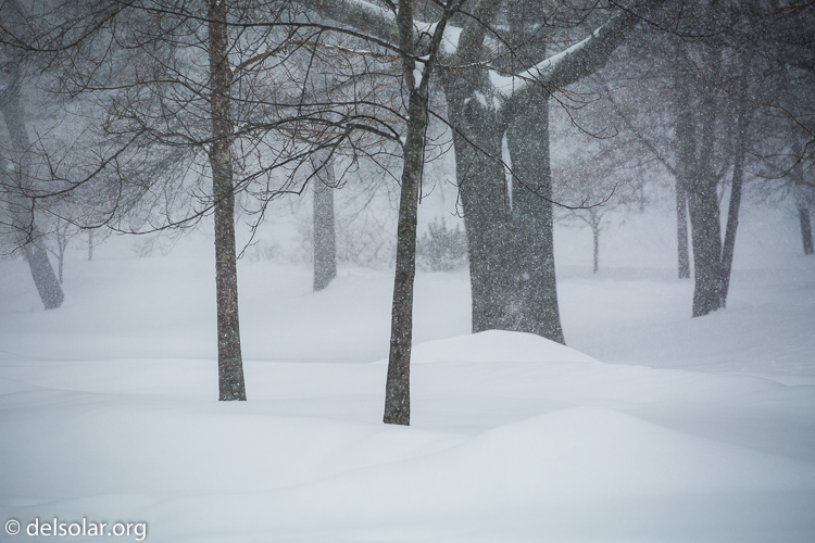 Canon EOS 5D Mark III  --  159 mm  --  EF70-200mm f/4L USM  