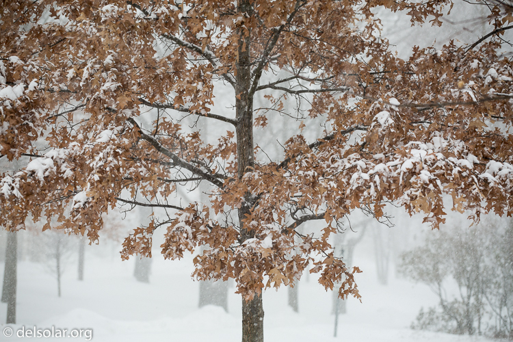 Canon EOS 5D Mark III  --  113 mm  --  EF70-200mm f/4L USM  