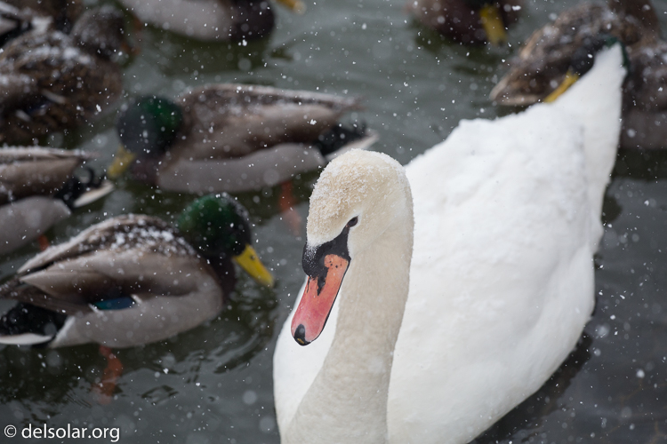 Canon EOS 5D Mark III  --  140 mm  --  EF70-200mm f/4L USM  