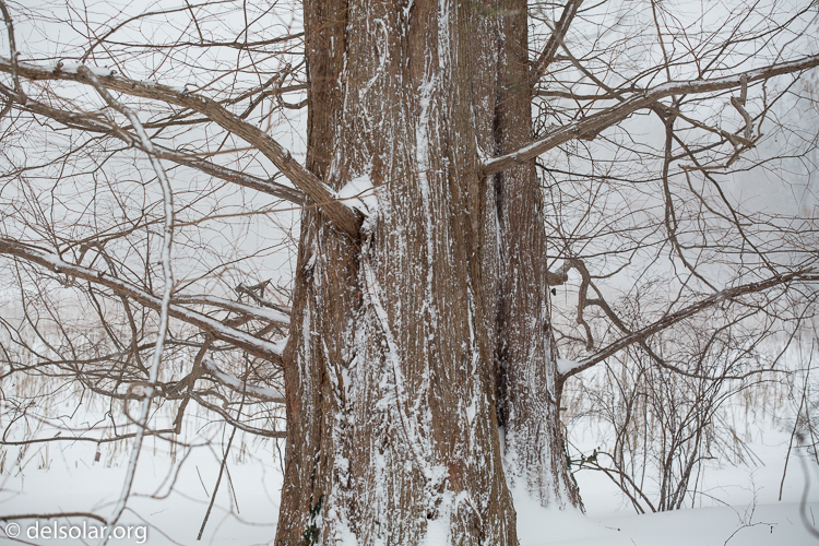 Canon EOS 5D Mark III  --  98 mm  --  EF70-200mm f/4L USM  