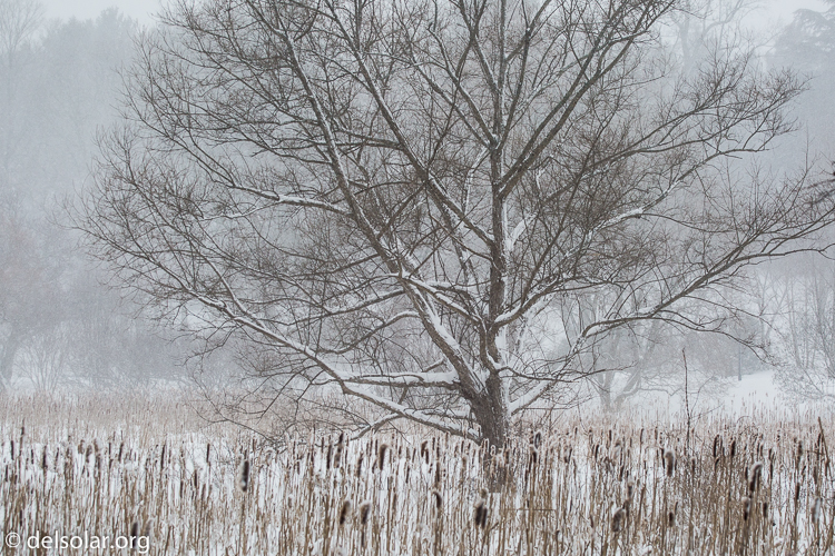 Canon EOS 5D Mark III  --  78 mm  --  EF70-200mm f/4L USM  