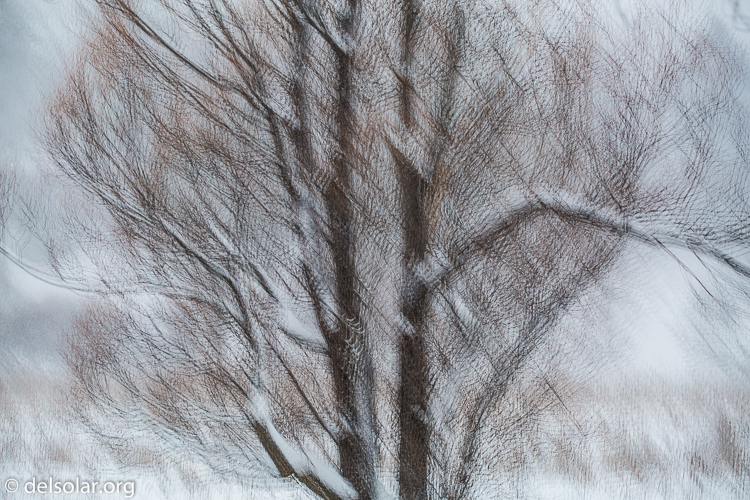 Canon EOS 5D Mark III  --  98 mm  --  EF70-200mm f/4L USM  