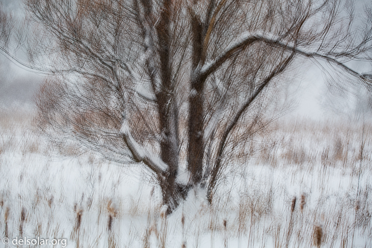 Canon EOS 5D Mark III  --  91 mm  --  EF70-200mm f/4L USM  