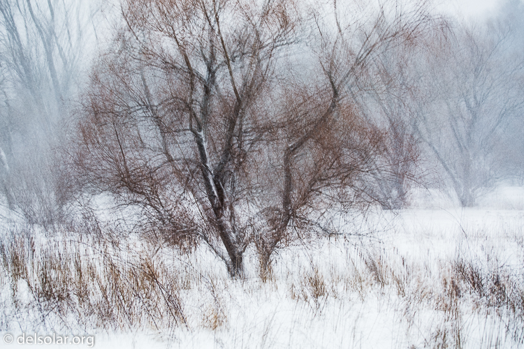 Canon EOS 5D Mark III  --  78 mm  --  EF70-200mm f/4L USM  