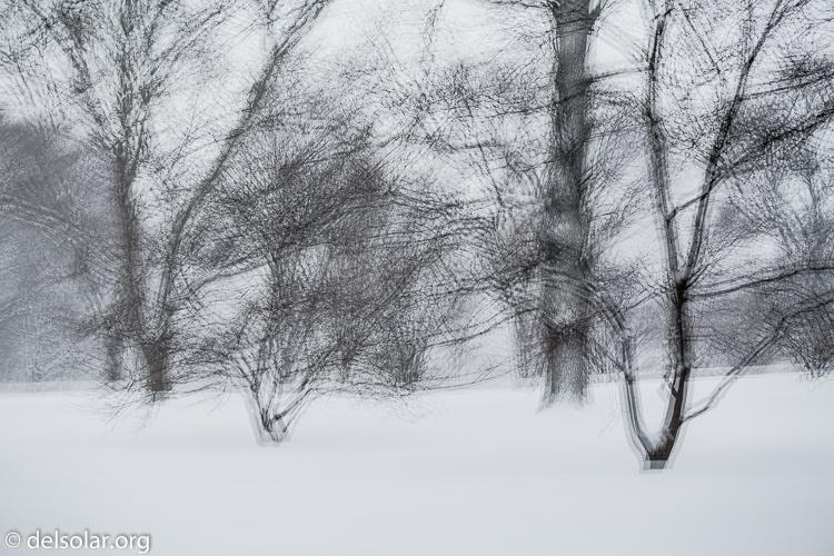 Canon EOS 5D Mark III  --  84 mm  --  EF70-200mm f/4L USM  