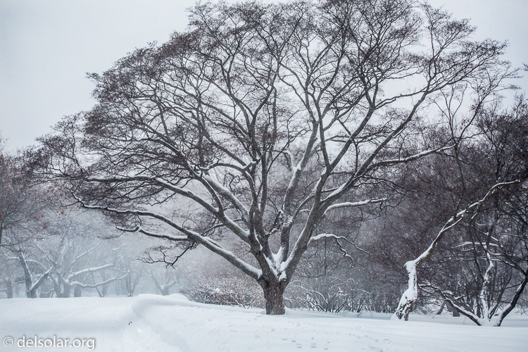 Canon EOS 5D Mark III  --  70 mm  --  EF70-200mm f/4L USM  