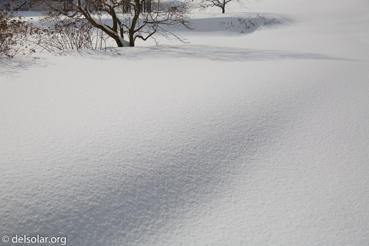 Canon EOS 5D Mark III  --  55 mm  --  EF24-105mm f/4L IS USM  