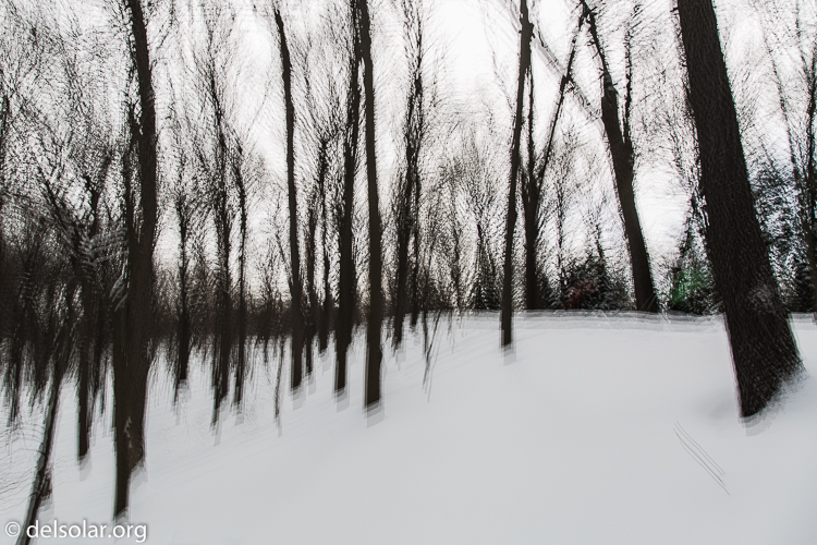 Canon EOS 5D Mark III  --  24 mm  --  EF24-105mm f/4L IS USM  