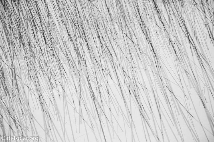 Canon EOS 5D Mark III  --  102 mm  --  EF24-105mm f/4L IS USM  